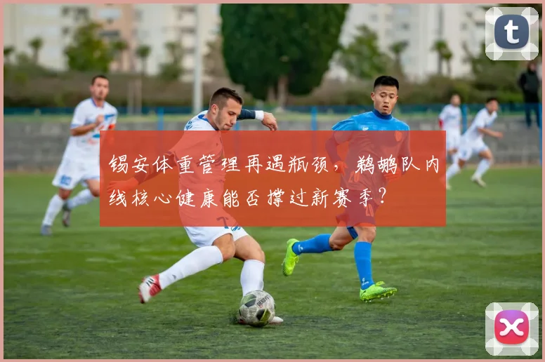 锡安体重管理再遇瓶颈,鹈鹕队内线核心健康能否撑过新赛季?